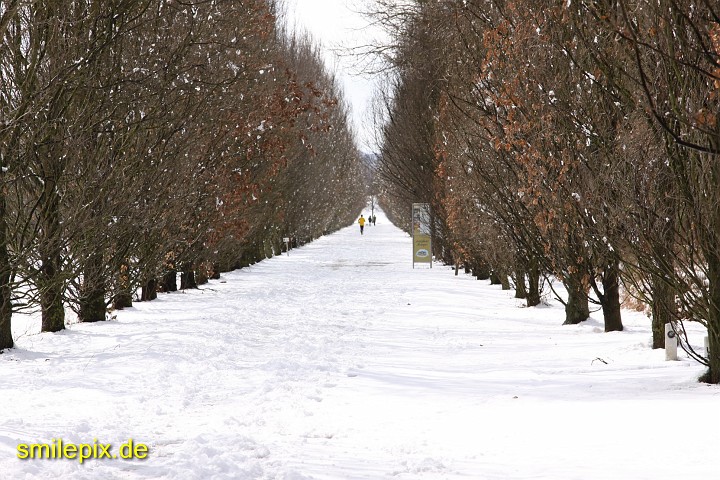 Ludwigsburg 6.3.10 (0380).JPG